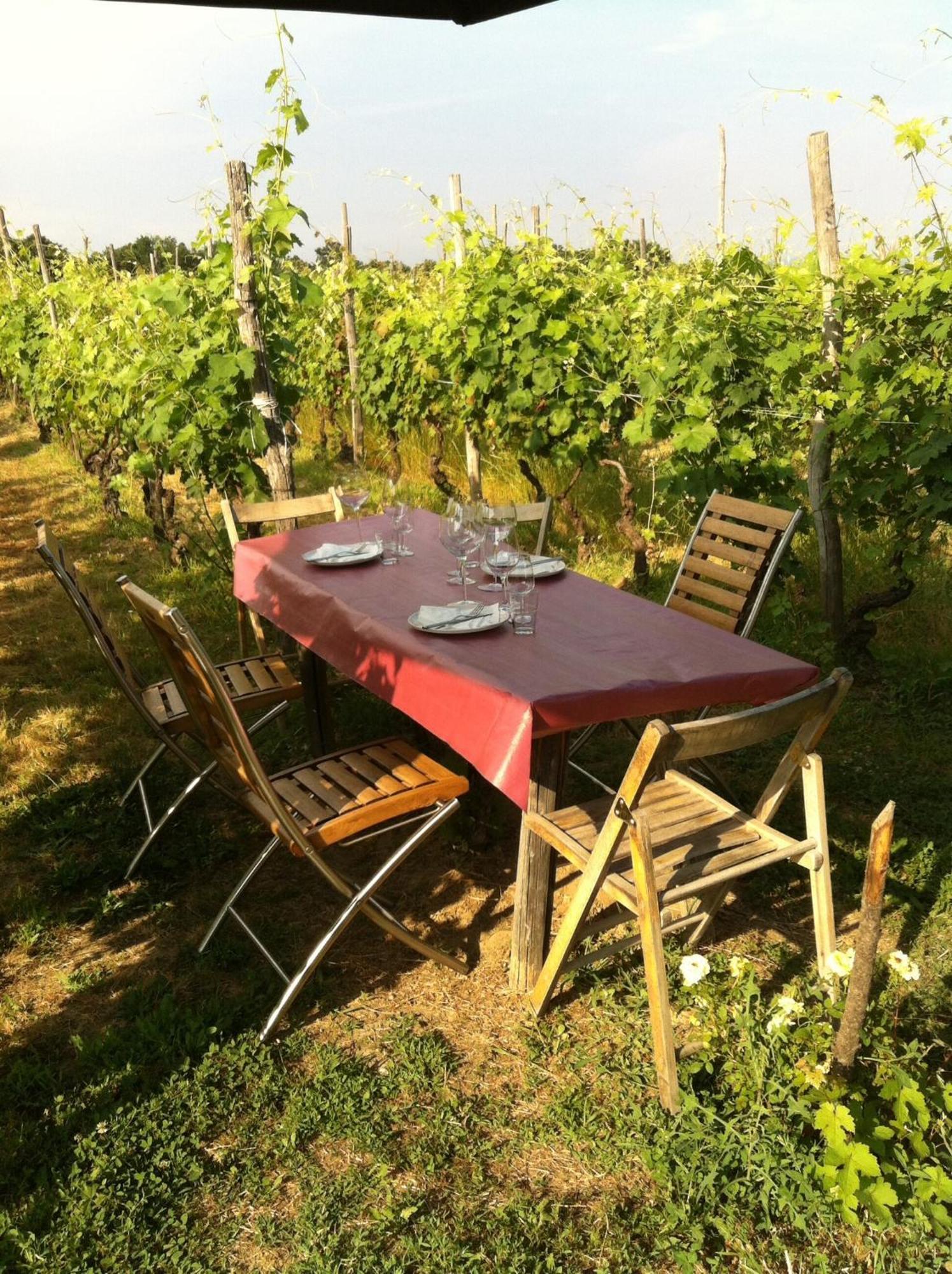 Rocca Grimalda Cascina La Maddalena Bed & Wineヴィラ エクステリア 写真