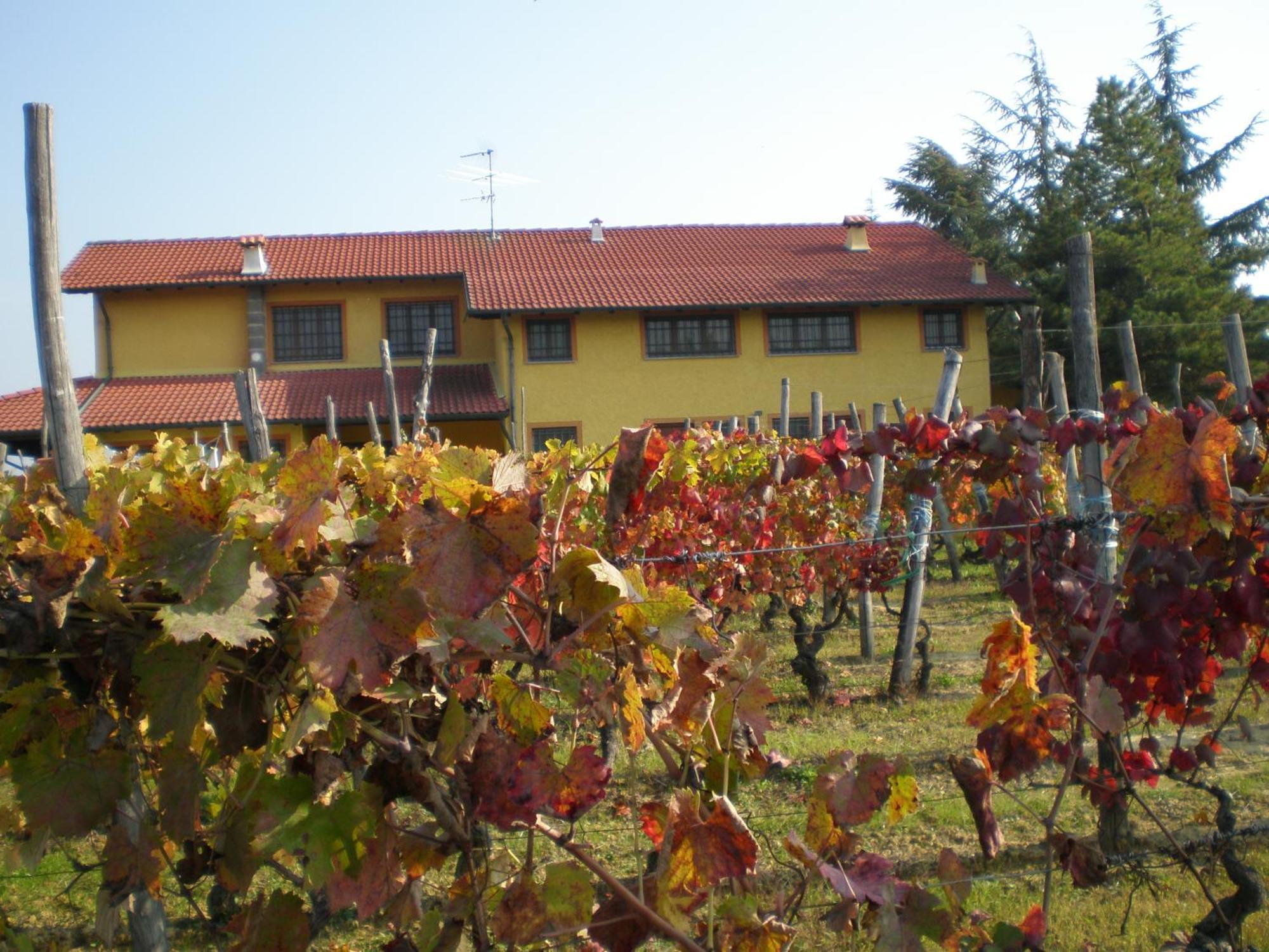 Rocca Grimalda Cascina La Maddalena Bed & Wineヴィラ エクステリア 写真