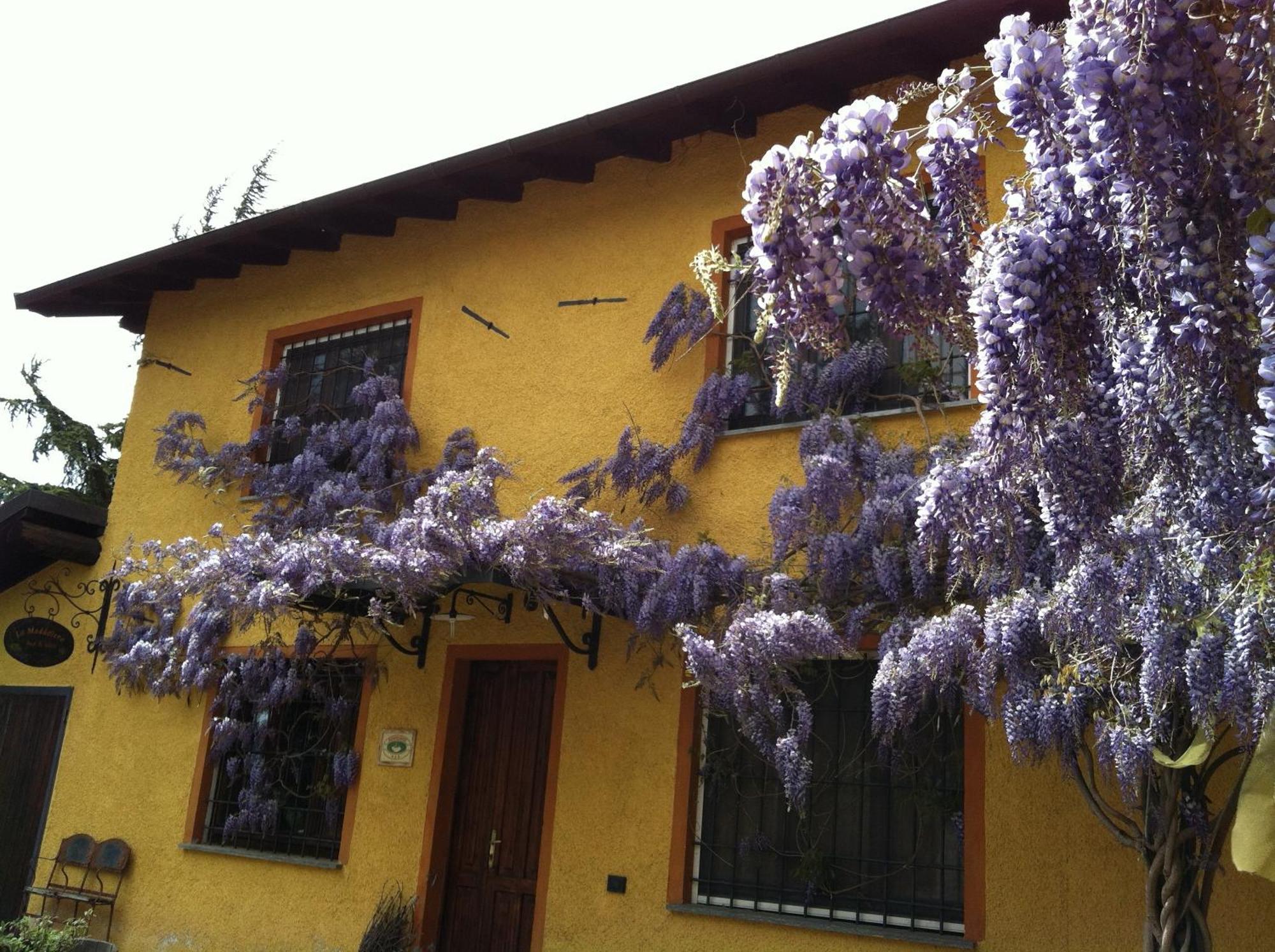 Rocca Grimalda Cascina La Maddalena Bed & Wineヴィラ エクステリア 写真