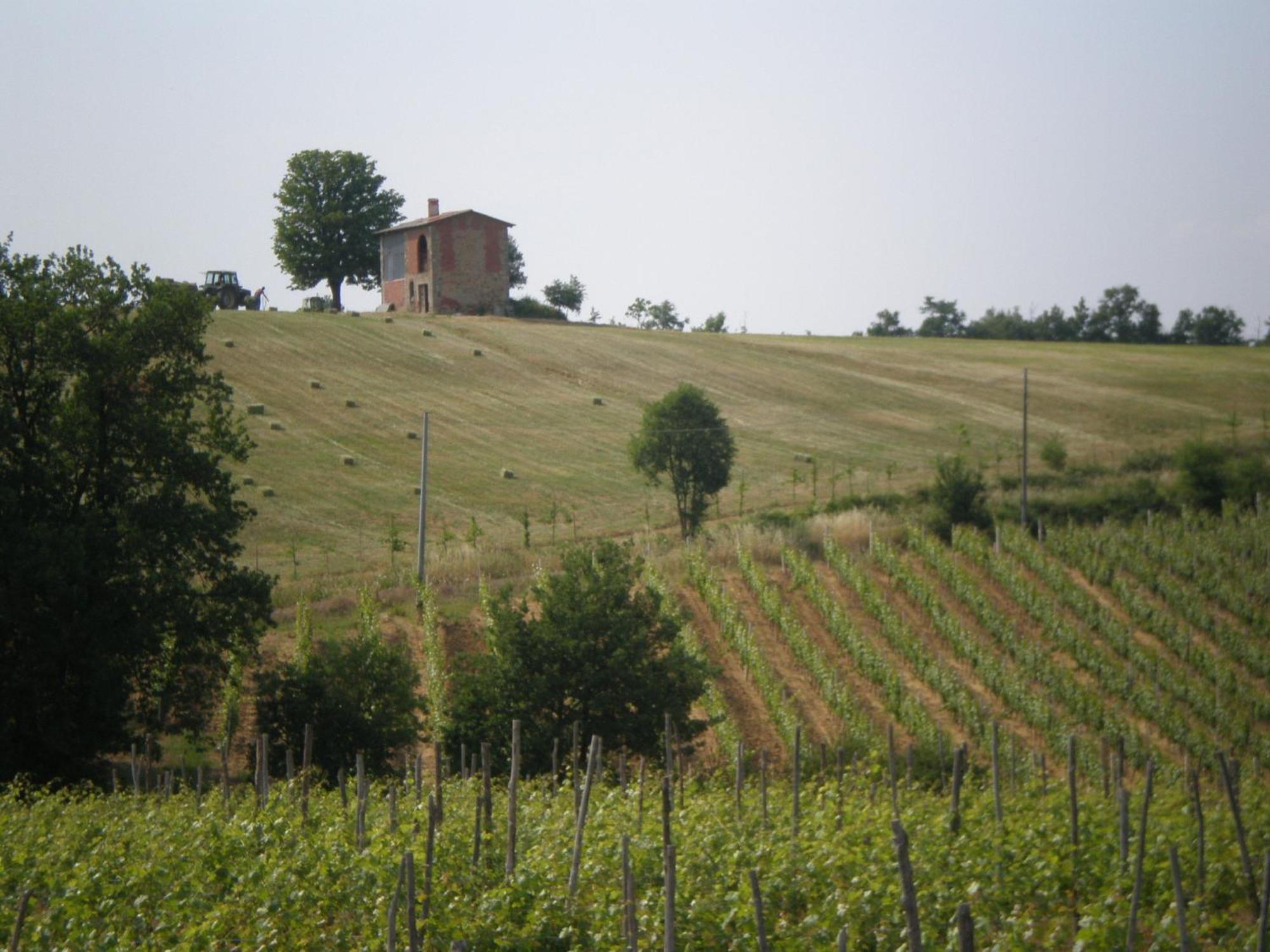 Rocca Grimalda Cascina La Maddalena Bed & Wineヴィラ エクステリア 写真