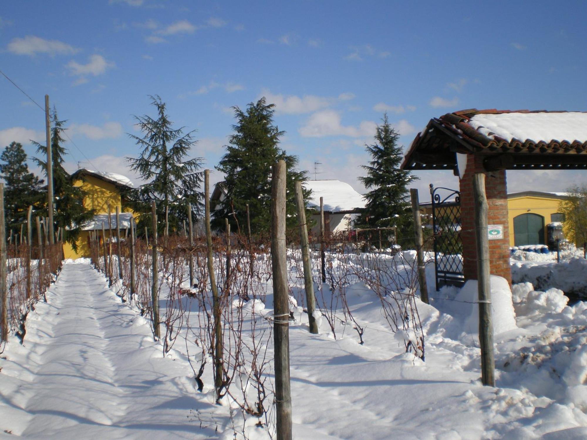 Rocca Grimalda Cascina La Maddalena Bed & Wineヴィラ エクステリア 写真